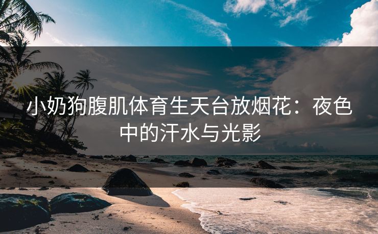 小奶狗腹肌体育生天台放烟花：夜色中的汗水与光影