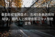 番茄影视官网盘点：丑闻5条亲测有效秘诀，圈内人上榜理由疯狂令人惊艳全场