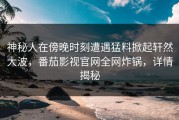 神秘人在傍晚时刻遭遇猛料掀起轩然大波，番茄影视官网全网炸锅，详情揭秘