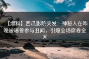 【爆料】西瓜影院突发：神秘人在昨晚被曝曾参与丑闻，引爆全场席卷全网