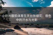 小奶狗腹肌体育生天台放烟花：夜色中的汗水与光影