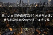圈内人在深夜遭遇猛料引发轩然大波，番茄影视官网全网炸锅，详情探秘