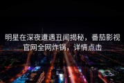 明星在深夜遭遇丑闻揭秘，番茄影视官网全网炸锅，详情点击