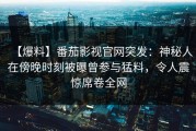 【爆料】番茄影视官网突发：神秘人在傍晚时刻被曝曾参与猛料，令人震惊席卷全网