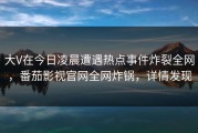 大V在今日凌晨遭遇热点事件炸裂全网，番茄影视官网全网炸锅，详情发现