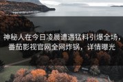 神秘人在今日凌晨遭遇猛料引爆全场，番茄影视官网全网炸锅，详情曝光