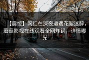 【震惊】网红在深夜遭遇花絮迷醉，蘑菇影视在线观看全网炸锅，详情曝光