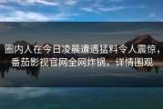 圈内人在今日凌晨遭遇猛料令人震惊，番茄影视官网全网炸锅，详情围观