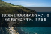 网红在今日凌晨遭遇八卦惊呆了，番茄影视官网全网炸锅，详情查看
