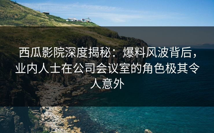 西瓜影院深度揭秘：爆料风波背后，业内人士在公司会议室的角色极其令人意外