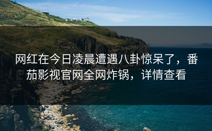 网红在今日凌晨遭遇八卦惊呆了，番茄影视官网全网炸锅，详情查看