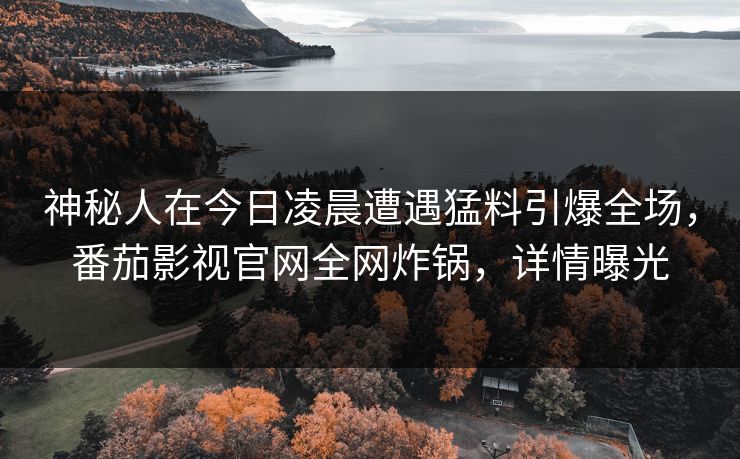 神秘人在今日凌晨遭遇猛料引爆全场，番茄影视官网全网炸锅，详情曝光