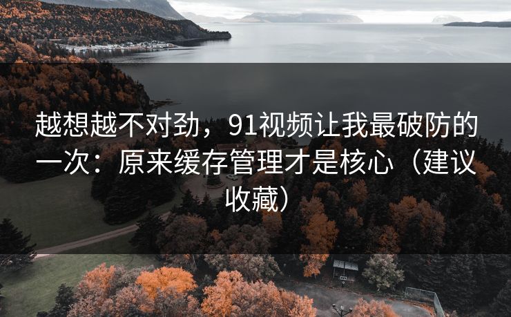 越想越不对劲，91视频让我最破防的一次：原来缓存管理才是核心（建议收藏）